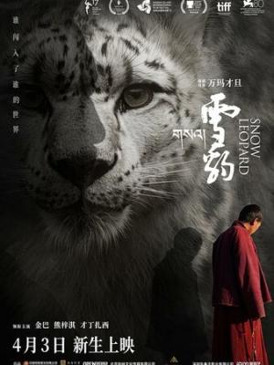 医心换心